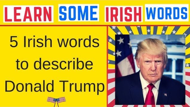 5 Irish Words To Describe President Trump