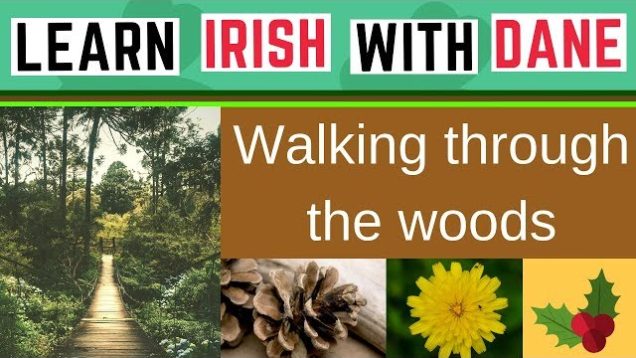 What’s The Irish For Woodlands & Lots More