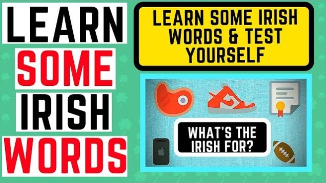 Learn Irish – What’s the Irish for these words – test yourself