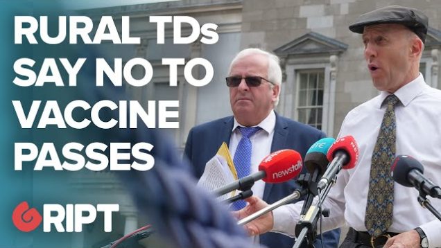 “Stand up for the minority” – TDs slam vaccine passports