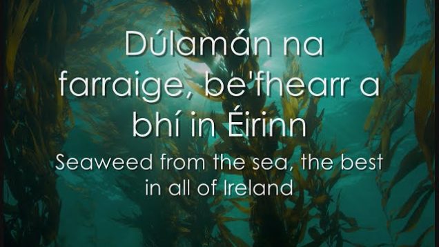 Dúlamán – LYRICS + Translation – Celtic Woman