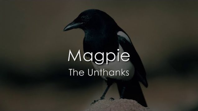 Magpie – The Unthanks – LYRICS
