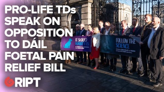 “You wouldn’t do it to a dog”: Pro-life TDs push for foetal pain relief