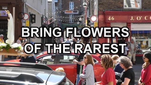 Bring Flowers of The Rarest – Lyric Video