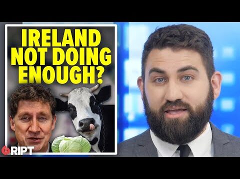 Does Ireland really have to “do more” on climate change? | Gript