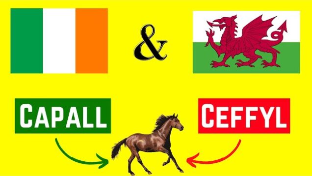 20 Words In Irish & Welsh