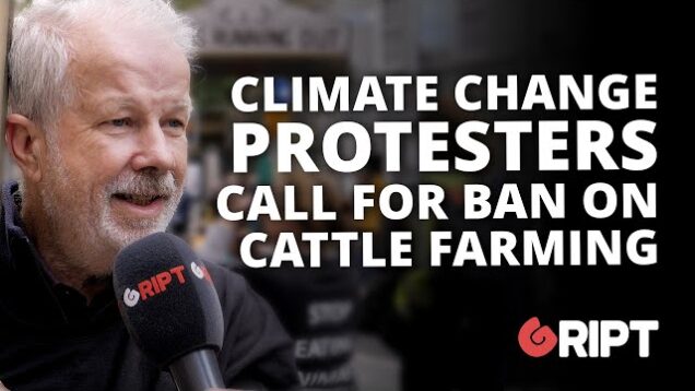 “It shouldn’t be allowed”: Irish climate protesters call to ban cattle farming