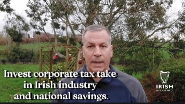 Build up Irish industry to avoid dependence on corporation tax as it will be undermined by EU.