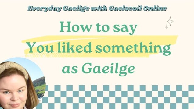How to say you liked something in Irish, past tense