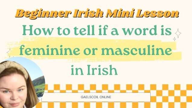 How to tell if a word is feminine or masculine in Irish