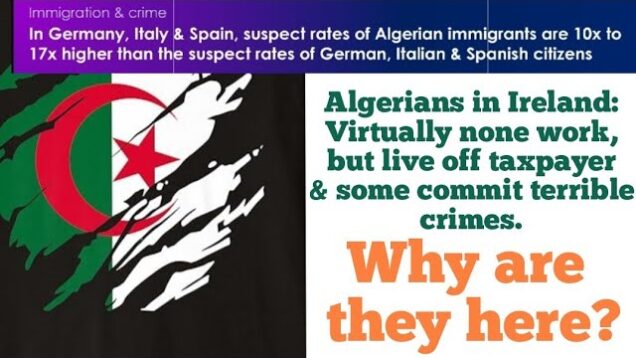 Virtually no Algerians work in Ireland but live off taxpayers. Wouldn’t we be safer without them?
