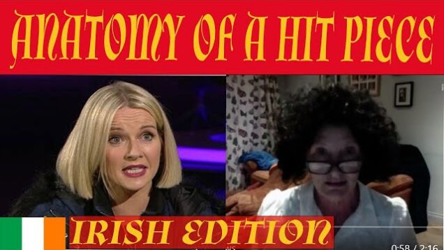 Anatomy of a Hit Piece ( Irish Edition )