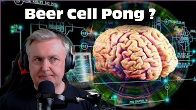 Brain cell Pong