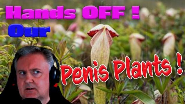 Hands off our Penis Plants !