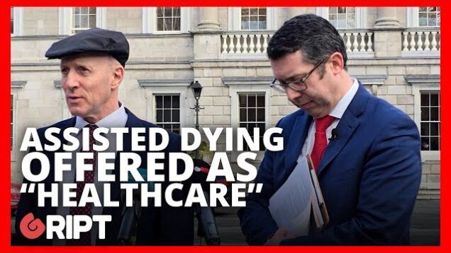 Healy-Rae and Mullin warn against Canada-style assisted suicide regime