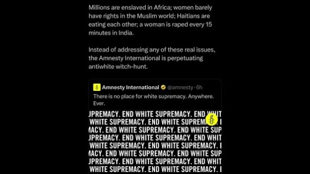 Amnesty International getting involved in the anti White circus