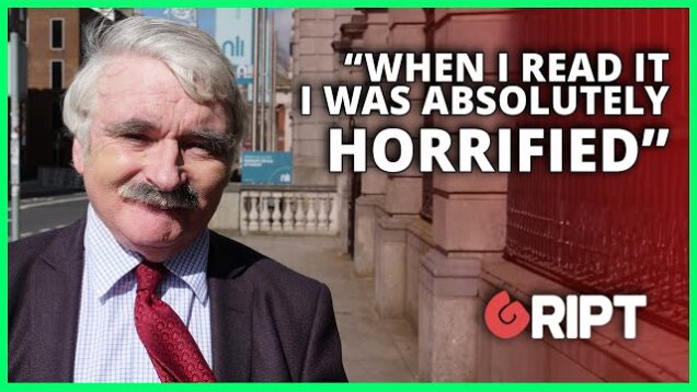 “Horrified” Fianna Fáil TD regrets voting for hate speech bill