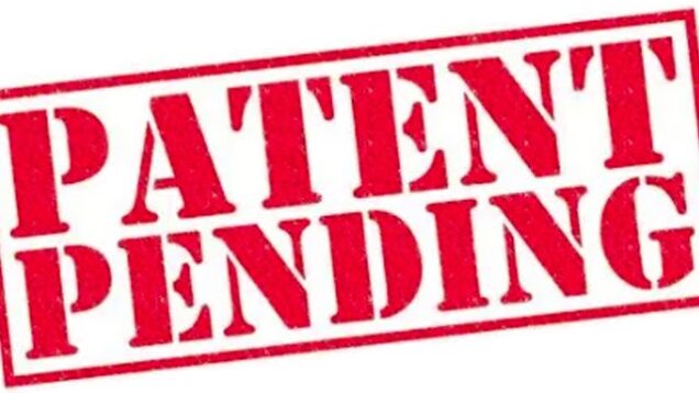Patent Referendum 8th June – But what’s it all about??