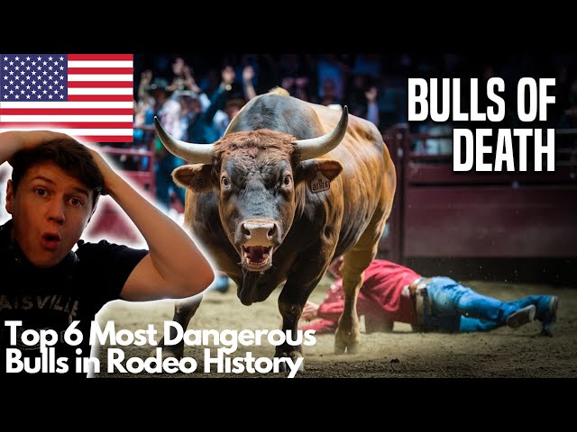 IRISH GUY REACTS To Top 6 Most Dangerous Bulls in Rodeo History – iTV.ie